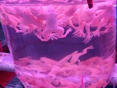 -华声天桥民俗文化园