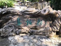 -燕塞湖鸟语林景区