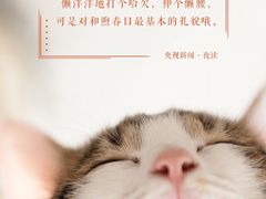 -新辣道鱼火锅(西直门店)