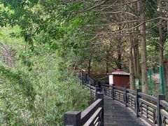 -白马涧龙池景区