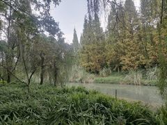 -金沙遗址博物馆