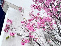 -乌山风景区