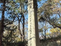 -灵谷景区
