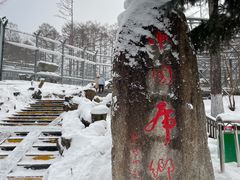 -横道河子东北虎林园