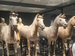 -子午路张记肉夹馍(兵马俑店)