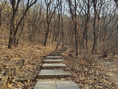 -沈阳辉山风景区