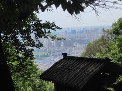 -惠山国家森林公园