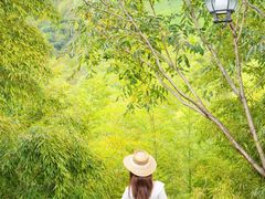 -天目湖御水温泉·度假酒店