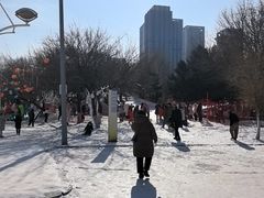 -沈阳奥体冰雪嘉年华