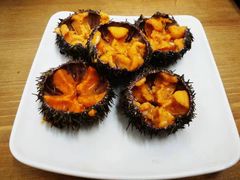 马粪海胆-海胆小馆(东北水饺·春柳店)