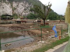 iphone_upload_pic-苏州太湖牛仔风情度假村