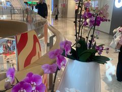 -盐说·西式餐酒馆(光明万达店)