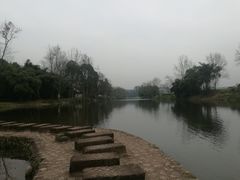 -川西竹海景区
