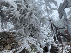 -秦岭天竺山生态文化旅游景区