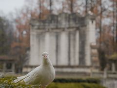 -音乐台