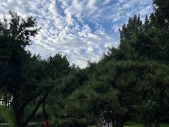 -北陵公园