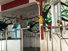 -南戴河国际娱乐中心