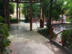 -热带风暴水上乐园(新镇路)