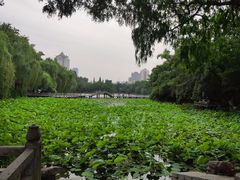 -包公祠