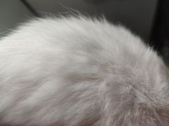 -长沙玛格丽特清吧(解放西路店)