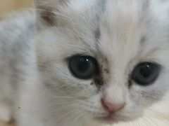 -中粮万科长阳半岛