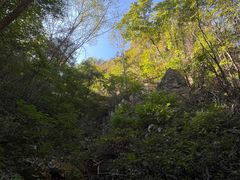 -大连天门山国家森林公园