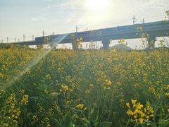 -光明小镇欢乐田园