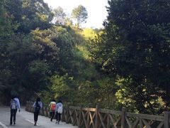 -广州市流溪河国家森林公园