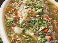 飞虹鱼-飞虹鱼馆(春华路店)