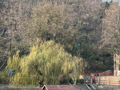 -北岭山森林公园