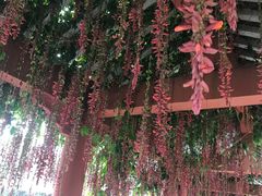 -华南国家植物园-售票处