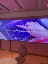 -莎蔓莉莎美容会所