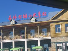 -莫尔道嘎国家森林公园