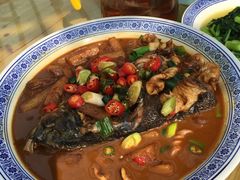-张鸟园农家乐(张鸟园店)