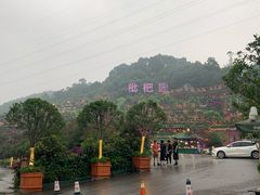 -枇杷园食为鲜火锅(南山店)