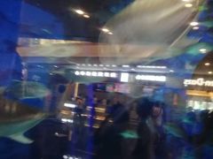 -成都浩海立方海洋公园