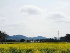 -光明小镇欢乐田园