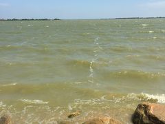 -瑶湖郊野森林公园