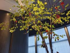 -新兴·金羊座·粤菜点心(乐峰店)