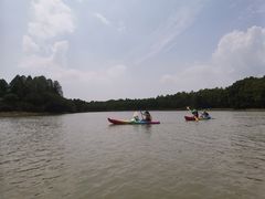 -上海海湾国家森林公园