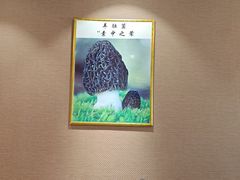 -菌之家·专业纯野生菌火锅·特色炒菌