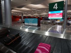 -西沃古尔·拉姆古兰爵士国际机场