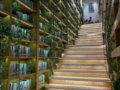 -艾溪湖湿地公园