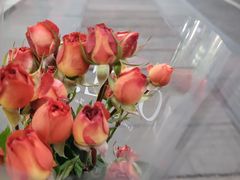 -循礼门鲜花花市(武汉循礼门店)