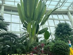 -石家庄市植物园