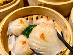 -旺金鸽·传承15年老字号·手工早茶(荔湾坦尾桥中店)