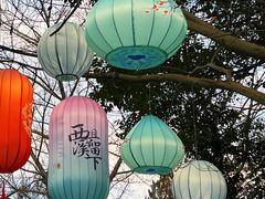 -西溪国家湿地公园