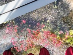 -古龙峡云天玻霸