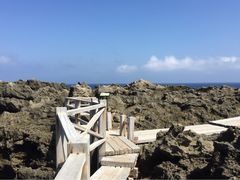 龙坑生态保护区-龙坑生态保护区