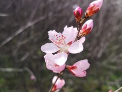 -明秦王墓遗址